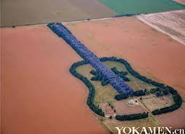 吉他森林 吉他森林