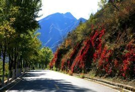 百里山水畫廊 百里山水畫廊