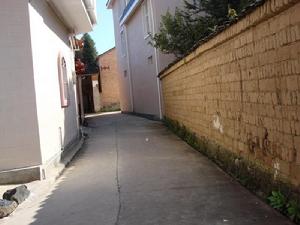 東營自然村村內道路