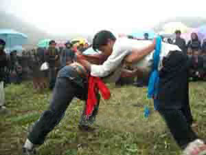 彝族摔跤 彝族摔跤