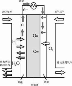 溶融碳酸鹽燃料電池 溶融碳酸鹽燃料電池