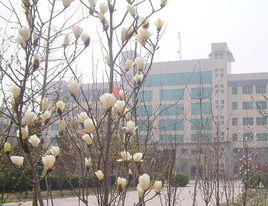 石家莊正定一中 石家莊正定一中