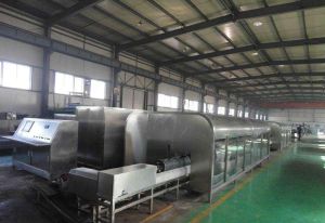 食品超高壓技術 食品超高壓技術