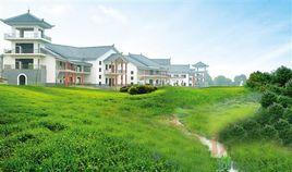 董家塅街道 董家塅街道