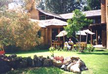 青年旅舍[組織]