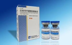 注射用單磷酸阿糖腺苷 注射用單磷酸阿糖腺苷