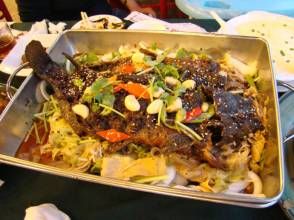 搭酷鯰魚 搭酷鯰魚