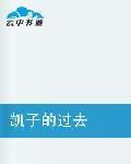 凱子的過去 凱子的過去