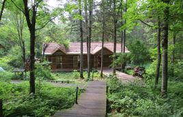 梅花山[黑龍江省伊春市梅花山]