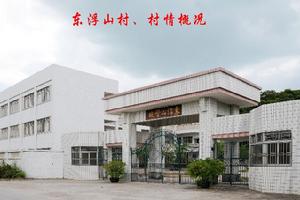 東浮山村 東浮山村