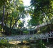 竹崎公園 竹崎公園