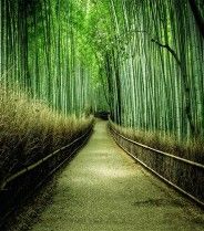 攝影背景 攝影背景