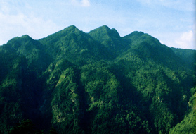 江西井岡山自然保護區