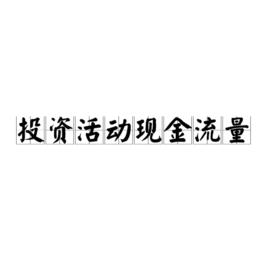 投資活動現金流量