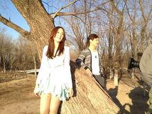 情歌繼續唱[歌曲]