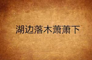 湖邊落木蕭蕭下