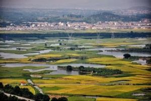 道虎溝村 道虎溝村