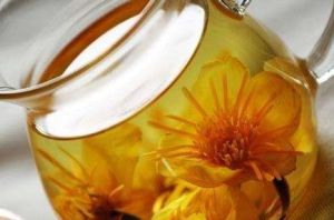 金蓮花菊草飲 金蓮花菊草飲