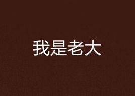 我是老大 我是老大