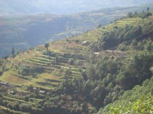 平箐自然村 平箐自然村