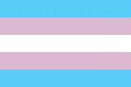 跨性別 跨性別