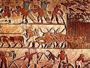 古羅馬奴隸制 古羅馬奴隸制