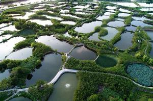 浙江湖州桑基魚塘系統 浙江湖州桑基魚塘系統