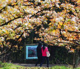 重慶渝北放牛坪村 重慶渝北放牛坪村
