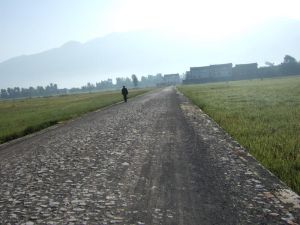 集義自然村 集義自然村