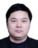 謝力[華北電力大學控計學院教授]