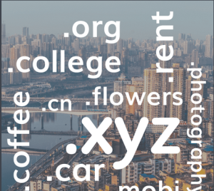 建網站可選的域名後綴種類繁多