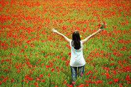 罌粟女人 罌粟女人