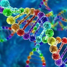 轉錄控制 轉錄控制