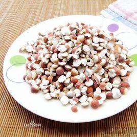 肇慶肇實 肇慶肇實