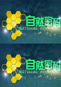 自然密碼[雲南衛視欄目]