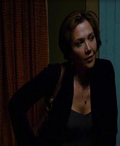 狂野的心[2009年上映美國電影]