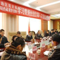 國家統計局西藏調查總隊 國家統計局西藏調查總隊