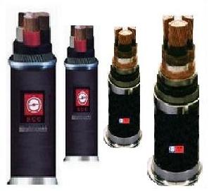 （圖）海底電纜