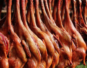 九尺板鴨 九尺板鴨