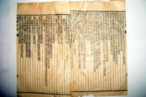 《本草經集注》