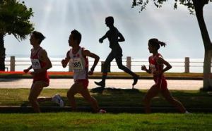 2016廈門國際馬拉松 2016廈門國際馬拉松