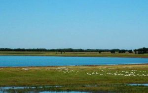 蓮華湖景區 蓮華湖景區