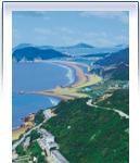 姐妹沙灘 姐妹沙灘