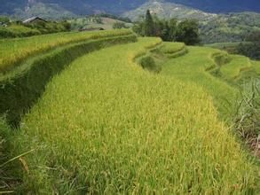 老小簡自然村 老小簡自然村