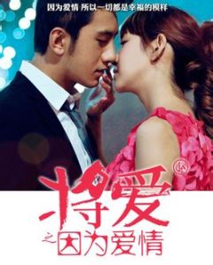將愛之因為愛情 將愛之因為愛情