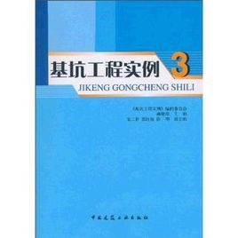 基坑工程實例 基坑工程實例
