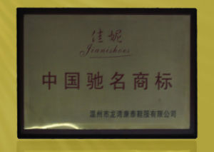 溫州康泰鞋服有限公司 溫州康泰鞋服有限公司