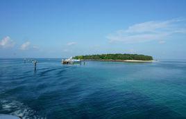 綠島[澳大利亞凱恩斯島嶼]