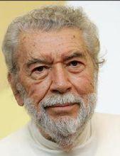 阿蘭&middot;羅伯