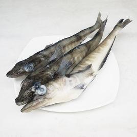 冰魚[一些不同種類的魚類之俗稱]